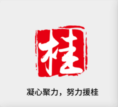 聚焦产业，努力援桂